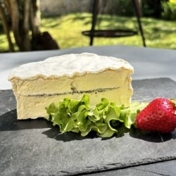 DEMI BRILLAT À LA TRUFFE