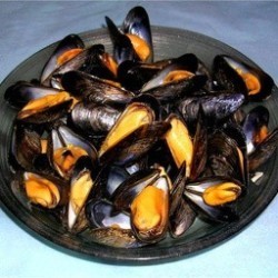 MOULES DE BREHAT