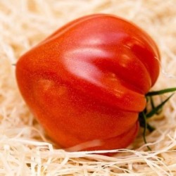 TOMATES COEUR COTELÉES