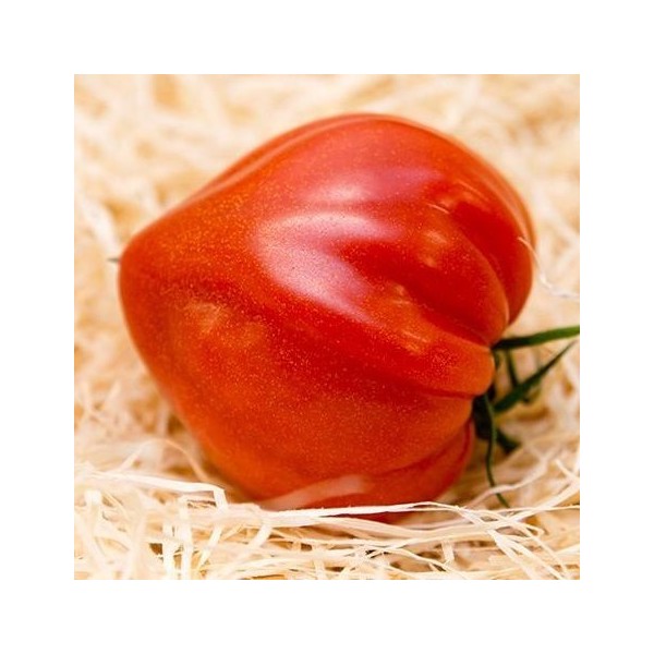 TOMATES COEUR COTELÉES