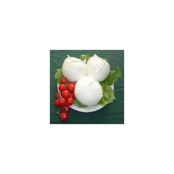1 BOULE DE MOZZARELLA BUFALA