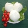 1 BOULE DE MOZZARELLA BUFALA